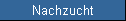 Nachzucht